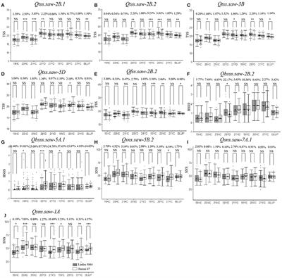 Analysis of Genetic Regions Related to Field Grain Number per Spike From Chinese Wheat Founder Parent Linfen 5064